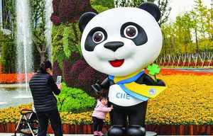 首屆中國國際進口博覽會帶來了什么？