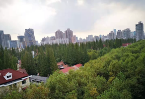 上海新華路花園洋房出租，246㎡獨(dú)棟
