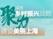 上海市人民政府辦公廳印發《關于進一步促進新型農村集體經濟高質量發展的若干措施》的通知