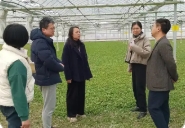 關于印發《2025年崇明區地產農產品質量安全監管工作方案》的通知