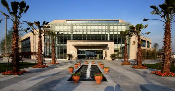 崇明區(qū)人民政府關于印發(fā)《張江高新區(qū)崇明園改革創(chuàng)新發(fā)展行動方案（2025-2026年）》的通知
