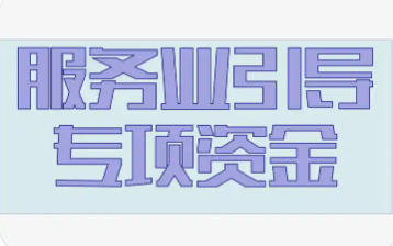上海市市場監管局等關于印發《上海市服務業發展引導資金支持廣告方向實施細則》的通知